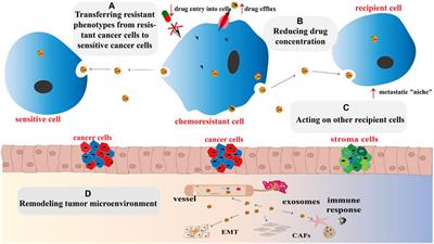 The Emerging Role of Exosomes in Cancer Chemoresistance